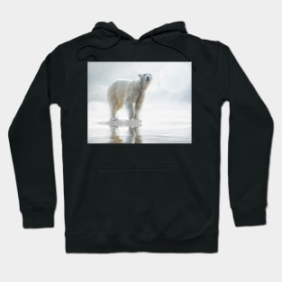 Is anybody out there? Hoodie